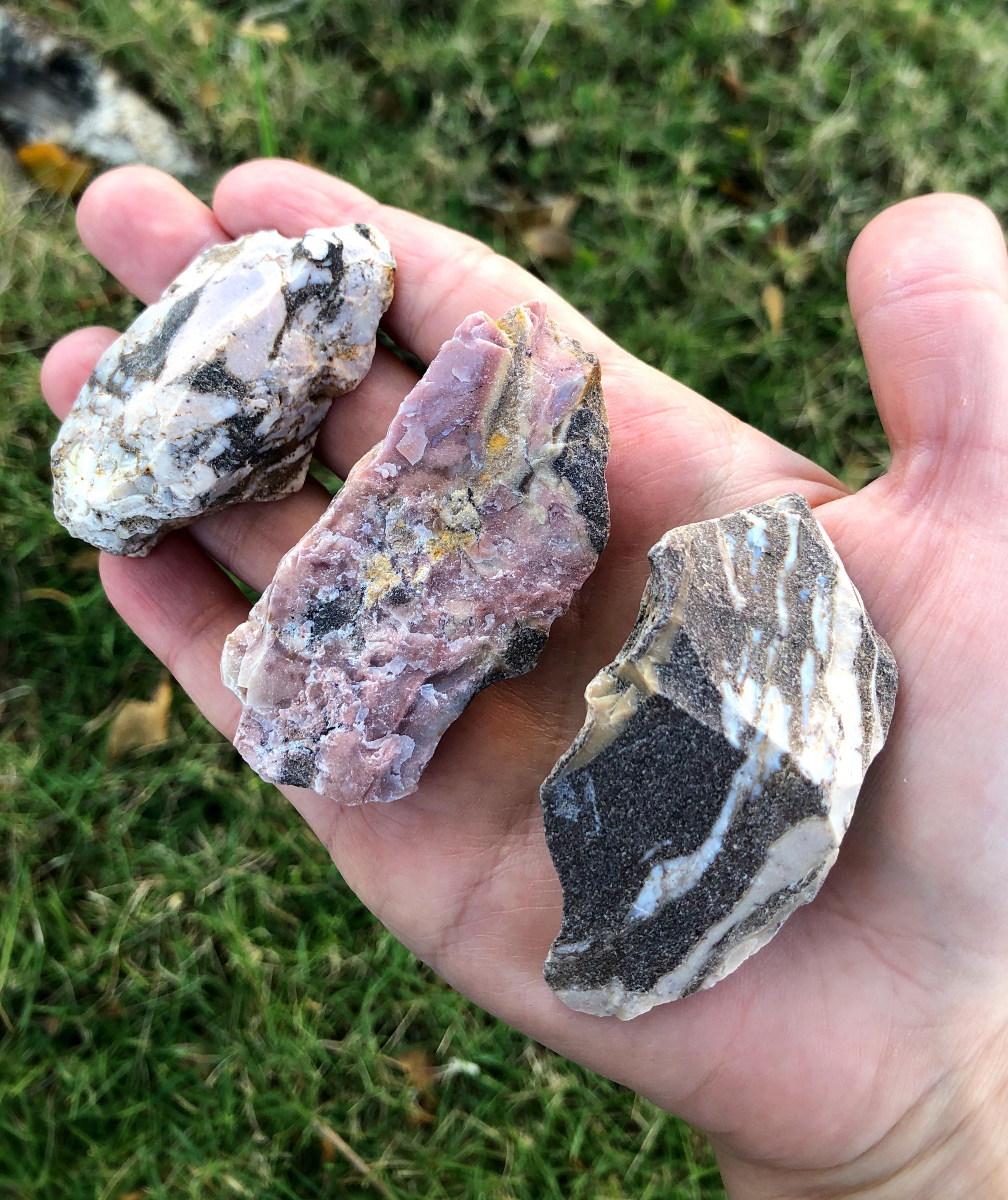Zebra Jasper Rough, Raw, Chunk, Stone, Crystal Healing, Yoga Practice…