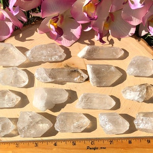 Peut inclure: Une collection de cristaux de quartz clair de tailles et de formes vari&eacute;es, dispos&eacute;s sur une tranche de bois. Des fleurs d'orchid&eacute;es roses et blanches sont en haut. Une r&egrave;gle est en bas avec le texte "Pacific rere".
