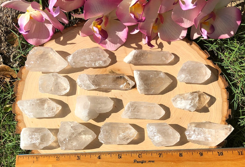Peut inclure: Une collection de cristaux de quartz clair de tailles et de formes vari&eacute;es, dispos&eacute;s sur une tranche de bois. Des fleurs d'orchid&eacute;es roses et blanches sont en haut. Une r&egrave;gle est en bas avec le texte "Pacific rere".