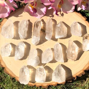 Peut inclure: Une collection de pointes de cristal de quartz clair dispos&eacute;es sur une tranche de bois ronde, avec des orchid&eacute;es roses en arri&egrave;re-plan. Les cristaux varient en taille et en forme, avec des formations naturelles et des pointes. Les cristaux sont expos&eacute;s sur une surface en bois.