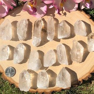 Peut inclure: Plusieurs pointes de cristal de quartz clair dispos&eacute;es sur une planche de bois ronde. Les cristaux pr&eacute;sentent des tailles et des formes vari&eacute;es, avec des formations naturelles et un aspect translucide. Des fleurs roses sont en arri&egrave;re-plan.