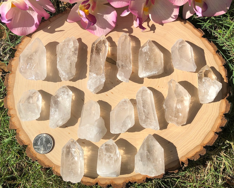 Peut inclure: Plusieurs pointes de cristal de quartz clair dispos&eacute;es sur une planche de bois ronde. Les cristaux pr&eacute;sentent des tailles et des formes vari&eacute;es, avec des formations naturelles et un aspect translucide. Des fleurs roses sont en arri&egrave;re-plan.