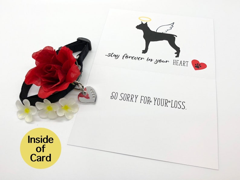 Boxer Sympathy Card Pet Sympathy Card Boxer Angel Dog Etsy