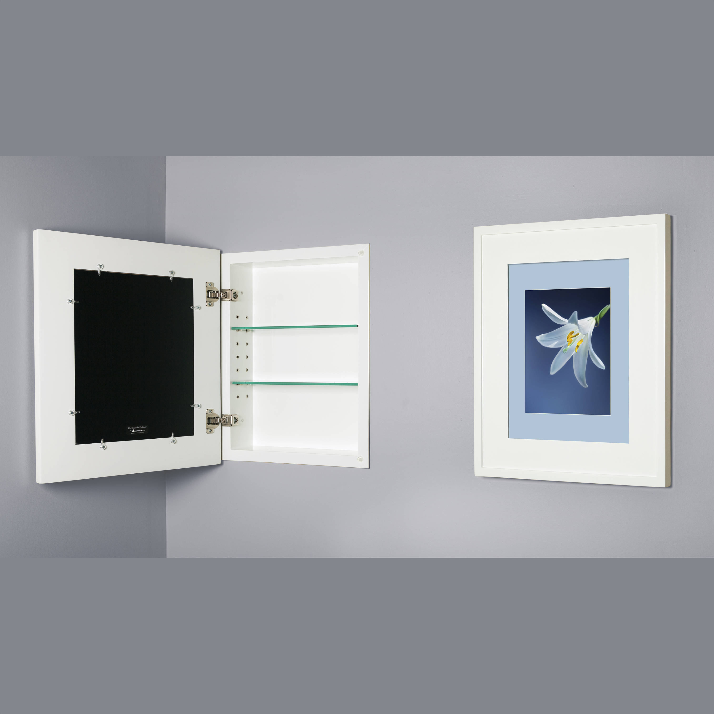Medicine cabinet 2024 without mirror