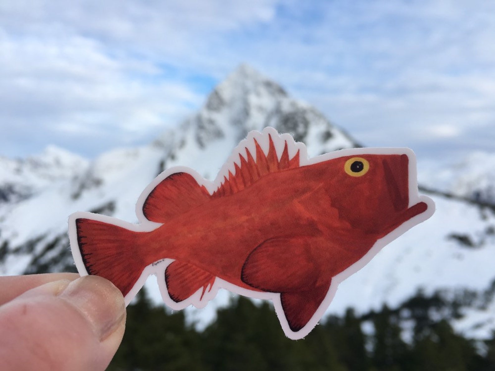 Yelloweye Rockfish Sticker Red Snapper Alaska Fish Cute Marine | Etsy