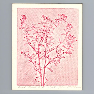 Puede incluir: Una impresión rectangular sobre papel blanco hueso que presenta una ilustración botánica en tinta roja de una planta frondosa. La obra incluye texto escrito a mano en la parte inferior que dice Leaf Print #12, 17/25 y una firma en tinta roja.