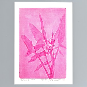 May include: A rectangular art print featuring a vibrant pink botanical silhouette of leafy stems centered on a white background. The print includes handwritten text at the bottom reading "Weeds #12", "15/25", and a signature in pencil on the white border.