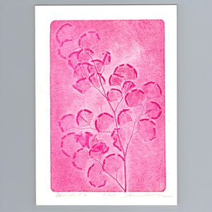 May include: A rectangular print on white paper featuring a vibrant pink botanical illustration of a fern-like plant. The artwork displays a textured, cross-hatched background with handwritten text and a signature visible at the bottom edge of the paper.