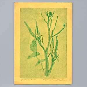 May include: A rectangular print on yellow paper featuring a green botanical illustration of a plant with leaves and a stem. The print includes handwritten text at the bottom left reading Weed #10 and a signature with the date 5/23 at the bottom right.