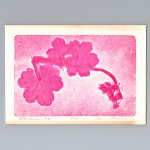 May include: A rectangular print on off-white paper featuring a vibrant pink botanical illustration of a geranium plant with lobed leaves and a stem. The artwork includes handwritten text at the bottom reading Geraniums #2, 6/34, and a signature.