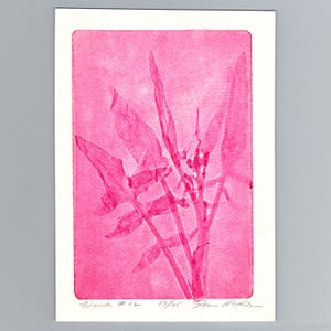 May include: A rectangular art print on white paper featuring a vibrant pink botanical silhouette of a plant with jagged leaves. The print is titled Weeds #12, numbered 17/25, and signed in pencil at the bottom margin in a clear, handwritten script.