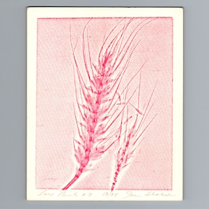 Puede incluir: Una impresión rectangular sobre papel blanco hueso que muestra dos espigas de trigo en tinta magenta vibrante. La obra presenta un fondo texturizado e incluye el texto escrito a mano "Leaf Prints #7 13/25 Jon Abelson" en la parte inferior.