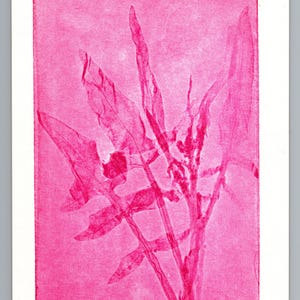 May include: A rectangular print on white paper featuring a vibrant pink botanical illustration of a plant with elongated, serrated leaves. The artwork is titled "Weeds #12", marked "10/25", and signed by the artist in pencil at the bottom margin.