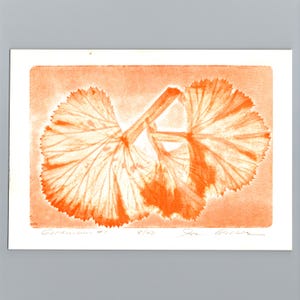 May include: A rectangular art print featuring a monochromatic orange botanical print of two geranium leaves with visible veins and serrated edges. The text Geranium #1, 8/42, and a handwritten signature are visible at the bottom of the white paper.