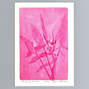 May include: A rectangular art print featuring a vibrant pink botanical silhouette of a plant with multiple pointed leaves. The print includes handwritten text at the bottom reading "Weeds # 12", "13/25", and a signature in black ink.