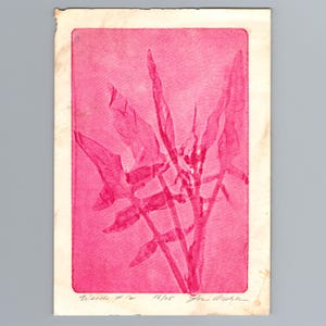 Puede incluir: Una impresión rectangular sobre papel blanco roto que presenta la silueta botánica de color rosa vibrante de una planta con varias hojas. La obra está titulada "Weeds #12", numerada 18/25 y firmada a lápiz en el margen inferior.