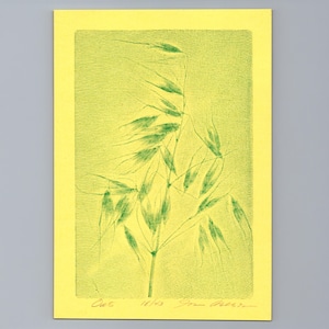 May include: A rectangular print on bright yellow paper featuring a detailed green ink illustration of an oat stalk. The artwork displays fine horizontal line textures throughout the background and includes handwritten text at the bottom edge.