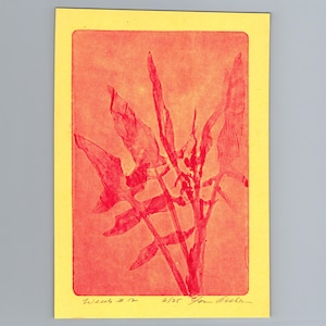 May include: A rectangular print on yellow paper featuring a red ink botanical illustration of a plant with elongated, pointed leaves. The artwork is titled "Weeds #12" and numbered "6/25" in pencil at the bottom, with a handwritten signature below.