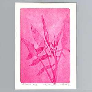 May include: A rectangular art print featuring a vibrant hot pink botanical silhouette of a plant with elongated, pointed leaves. The print is set against a white border and includes handwritten text at the bottom reading "Wells 2/2 12/25 Jon Mohn".
