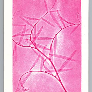 May include: A rectangular art print featuring a vibrant hot pink botanical illustration of a slender, vining plant with narrow leaves and curling tendrils. The print includes the handwritten text "Weeds #11", "16/30", and a signature at the bottom.