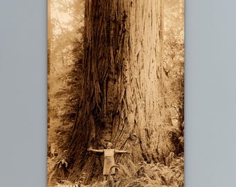 1930s Woman Giant Redwood Tree Lanes Redwood Flat California RPPC Vintage