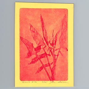 May include: A rectangular print on yellow paper featuring a red ink botanical illustration of a plant with jagged leaves. The bottom margin contains handwritten text that reads "Weeds #12 7/25" followed by a signature in black ink.