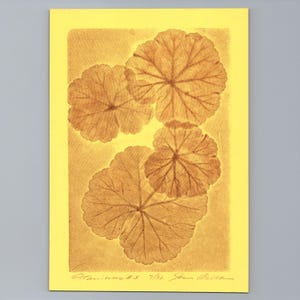 May include: A rectangular print on bright yellow paper featuring a botanical illustration of four geranium leaves in shades of brown. The artwork displays visible veins and scalloped edges. The text "Geraniums #3 7/30" and a signature are at the bottom.