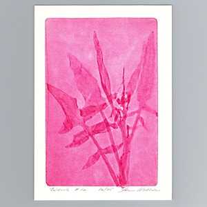 May include: A rectangular art print featuring a vibrant hot pink botanical silhouette of a plant with multiple pointed leaves. The print includes handwritten text at the bottom reading Weeds #12, 16/25, and a signature on a white paper background.