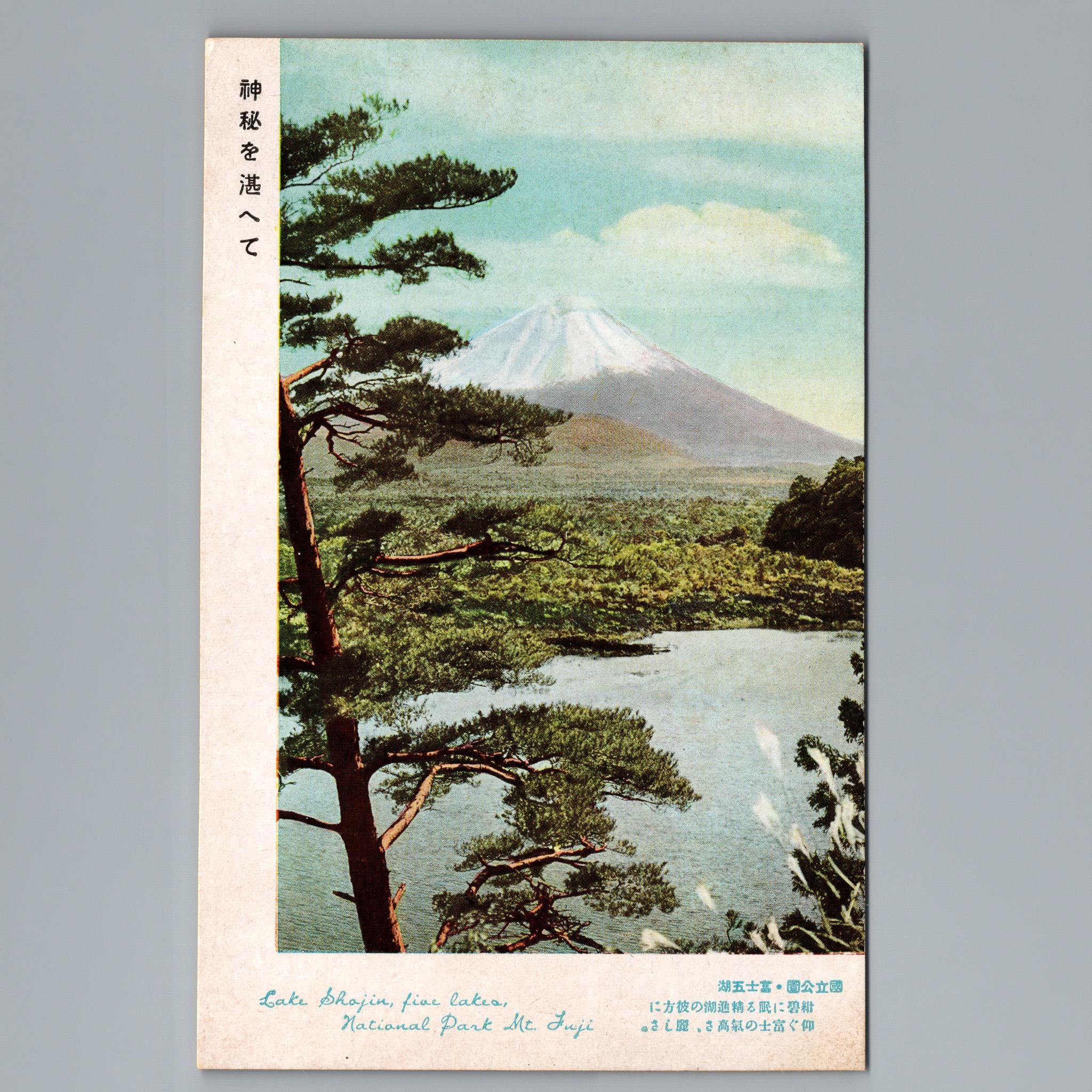 Mt Fuji Postcard - Etsy