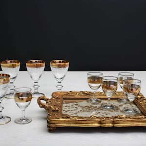 Unique Barware Set from Europe  | 4 Liquor Glasses  &  5 Shot Glasses