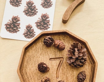 Wooden Waldorf Math trays, Montessori toys for kids, preschool, homeschool, Montessori toys for 3 year old, Counting to 10 wooden trays