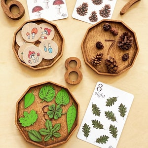 Montessoriräknebräda, Pedagogiskt träspel, Waldorfmattebrickor i trä, Montessorileksaker för barn, Räkning till 10 i trä bild 3