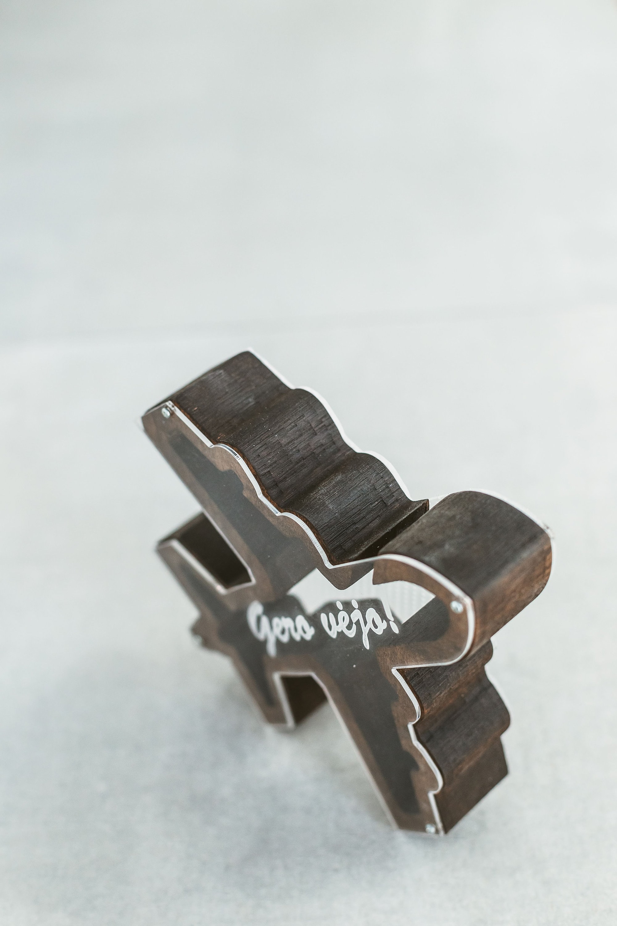 Salvadanaio In Legno A Forma Di Dinosauro Per Bambini – Infrangibile Con Finestra Acrilica, Regalo Personalizzabile (T-Rex/Brachiosauro)