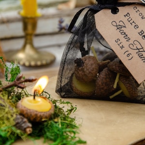 Beeswax Acorn Candle Set of 6 // Mabon, Samhain & Solstice // Altar Candle // Cotton Wick