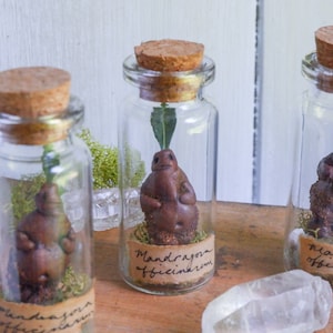 Pode incluir: Três garrafas de vidro com rolhas de cortiça, cada uma contendo uma figura humanoide marrom com uma folha verde. As figuras estão sobre musgo, com um rótulo que diz "Mandragora officinarum".