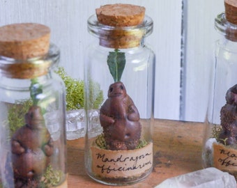 Bottled Mini Mandrake: Hand-Sculpted Clay Apothecary Oddity