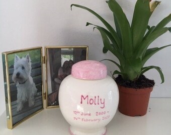 Pet Ashes Urn Pet Memorial