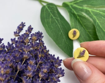 Brincos de pequeno círculo lavanda