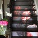 see more listings in the Staircase Decals section