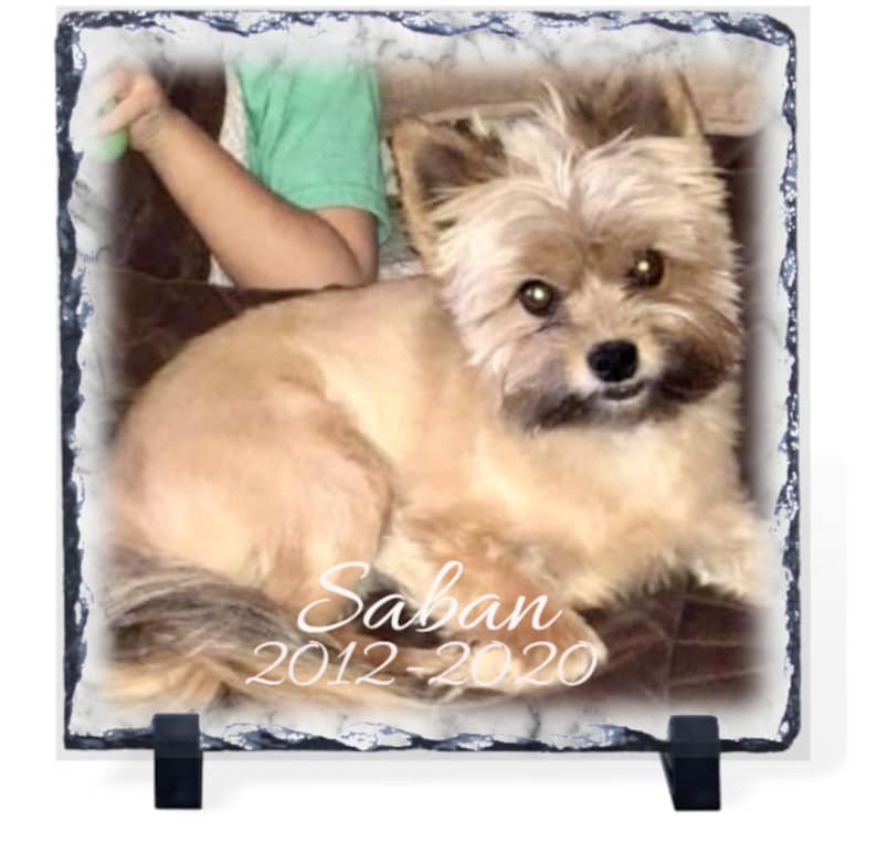 pet rock slate dog in memory of Pet memorial photo slate in memory of pet cat in memory off pet photo stone