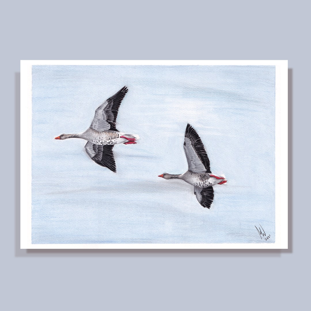 Flighty Geese Print A4 / A3 Wildlife Artwork Bird Illustration Nature