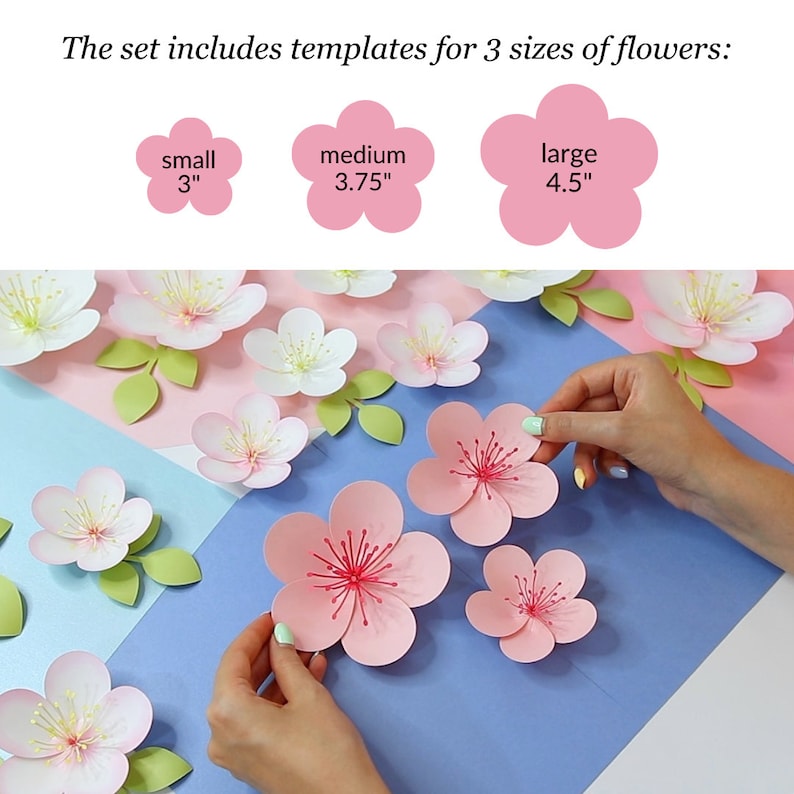 Cherry Blossom SVG, Paper Flower Template Bundle + Video Tutorial, SVG Cut Files for Cricut, PDF, Dxf, 3d Flower Svg, Paper Flower Kit image 6