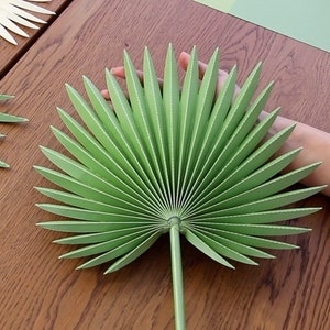 Décorations Suspendues Thème Tropical - Perroquets Et Feuilles De Palmier En Papier Nid D'abeille, Pour Fête Hawaïenne