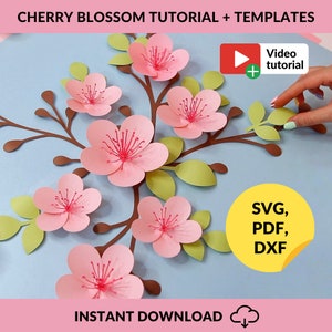 Cherry Blossom SVG, Bundle di modelli di fiori di carta + Video tutorial, File di taglio SVG per Cricut, PDF, Dxf, Svg di fiori 3D, Kit di fiori di carta