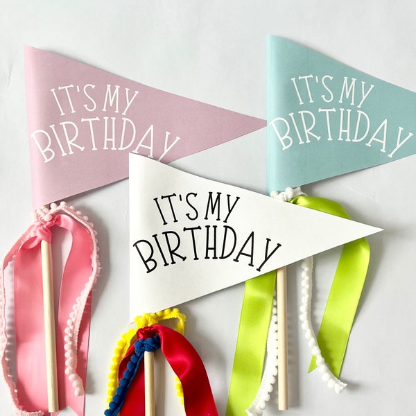 It’s my Birthday Pennant Flag, DIY Pennant, Birthday Banner, Printable Pennant Flag, Pennant Flag Template, Kids Birthday Party Basket