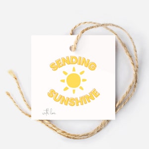 Sending Sunshine Gift Tags, Square Tag, Sunshine Gift, Send Sunshine Gift Tag, Hang Tag, Bakers Tag, Printable