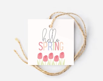 Hello Spring Gift Tag, Square Hang Tags, Seasonal Tags, Cookie Tag, Macaron Tag, Printable, Goodie Bag Tag, DIY Gifts, Spring Gift Basket