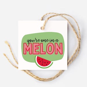 Può includere: Un'etichetta regalo bianca con un fumetto verde che dice "you're one in a MELON" in lettere rosa e nere. Un pezzo di anguria rossa si trova nell'angolo in basso a destra del fumetto.