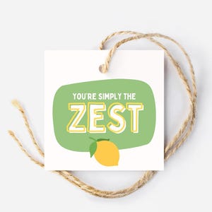 Può includere: Un'etichetta regalo bianca con un fumetto verde che dice "You're simply the ZEST". Un limone giallo con un gambo verde è nella parte inferiore del fumetto.