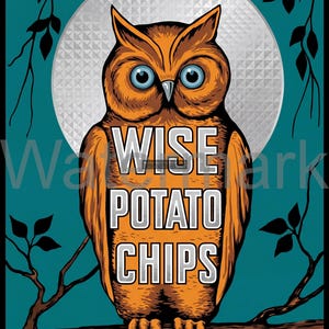 Puede incluir: Una ilustración gráfica de un búho naranja posado en una rama sobre un fondo verde azulado con una gran luna plateada. El texto WISE POTATO CHIPS está centrado en el pecho del búho en letras blancas y plateadas. Ramas negras enmarcan la escena.